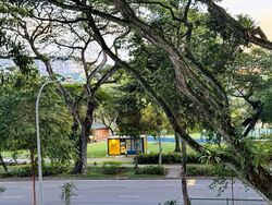 Blk 223 Ang Mo Kio Avenue 1 (Ang Mo Kio), HDB 3 Rooms #557134181